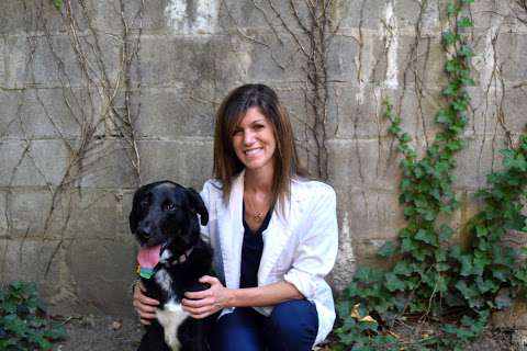 Chesterfield Veterinary Clinic Chesterfield Veterinary Clinic